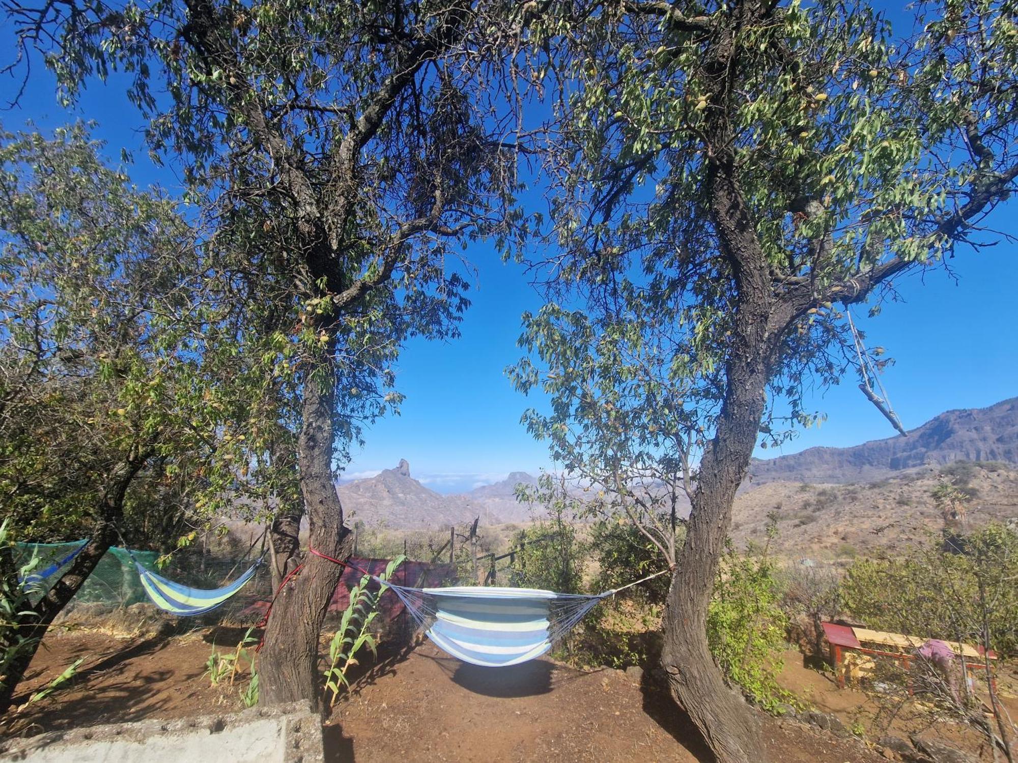 Finca La Isa By Rose Casas Rural Tejeda  Eksteriør bilde